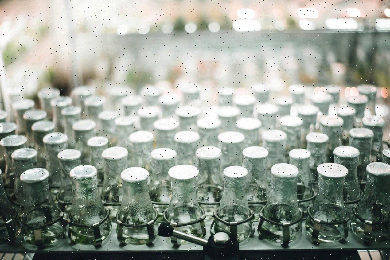 Proceso de trabajo